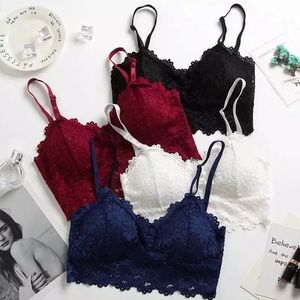 2 for $30! Lace bralette (AA-C Cup)